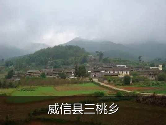 威信县三桃乡