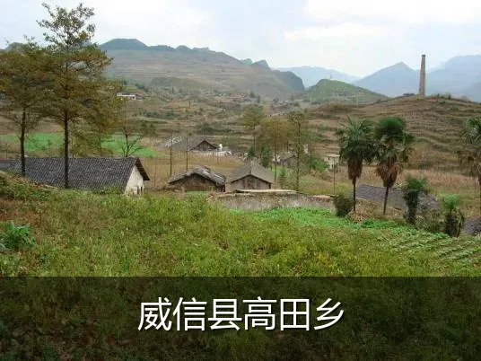 威信县高田乡